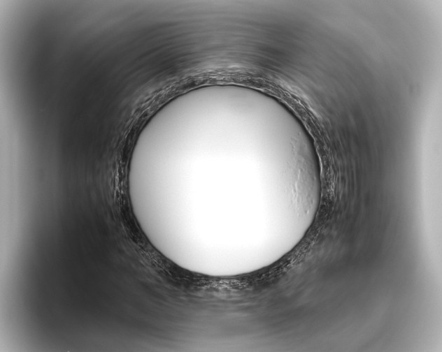 X0000096460966200801241115