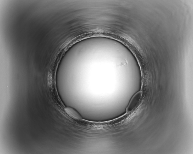 X0000096460969200801241115