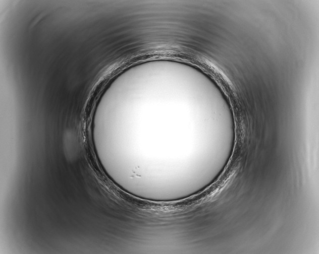 X0000096460970200801241115