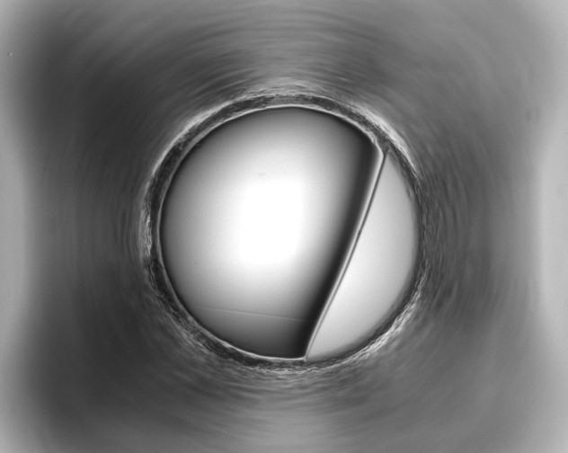 X0000096460973200801241115