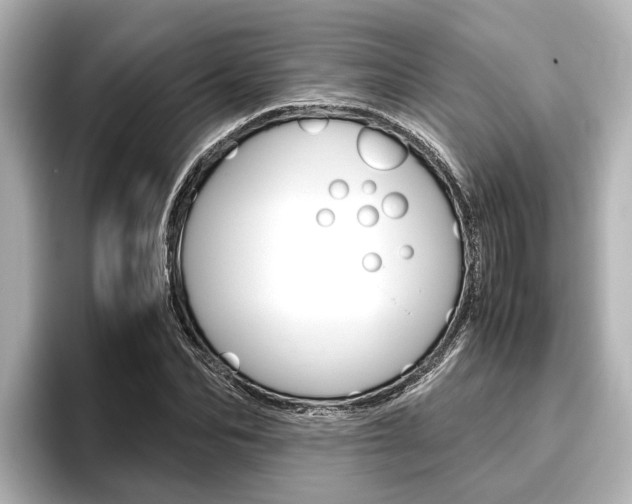 X0000096460974200801241115