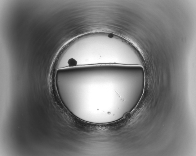 X0000096460975200801241115