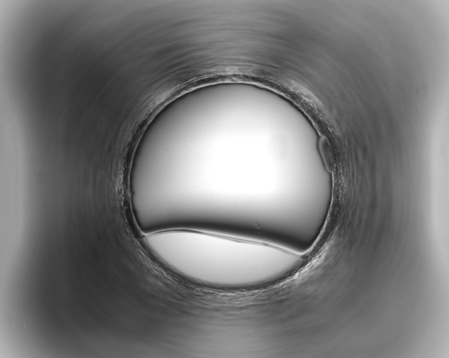 X0000096460977200801241114