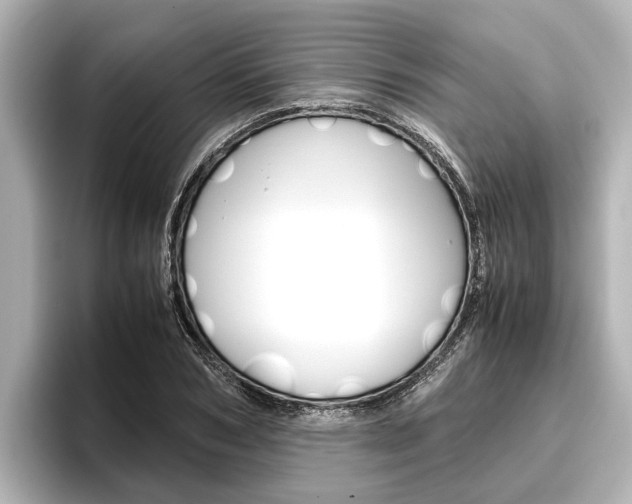 X0000096460978200801241114