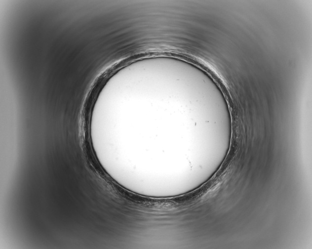 X0000096460979200801241114