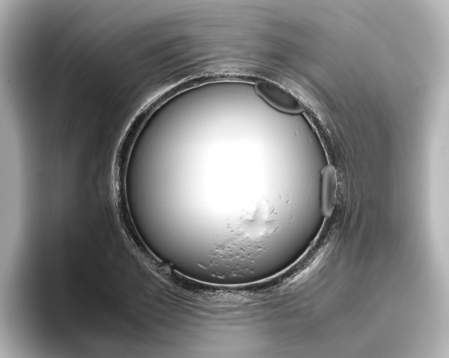 X0000096460981200801241114
