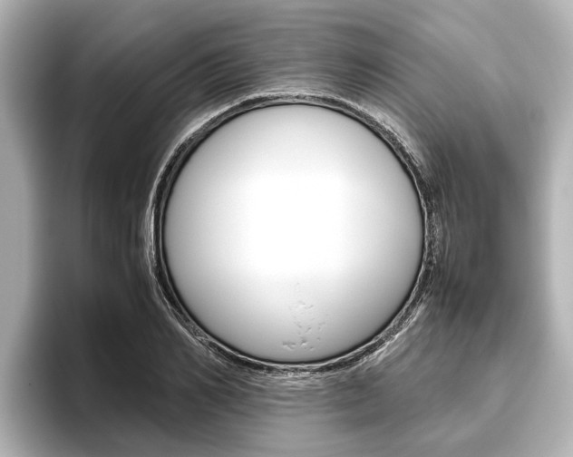 X0000096460982200801241114