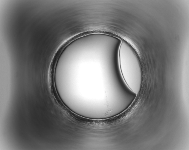 X0000096460983200801241114