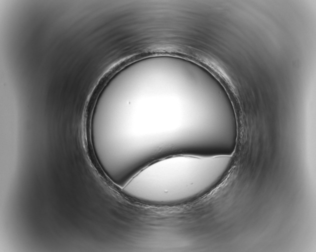 X0000096460984200801241114
