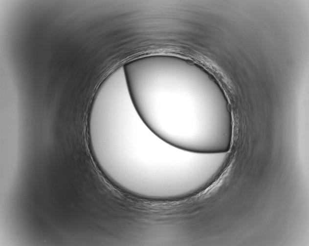 X0000096460985200801241114
