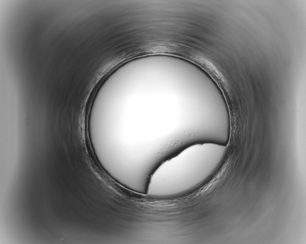 X0000096460986200801241114