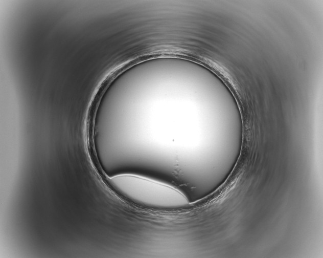X0000096460987200801241114