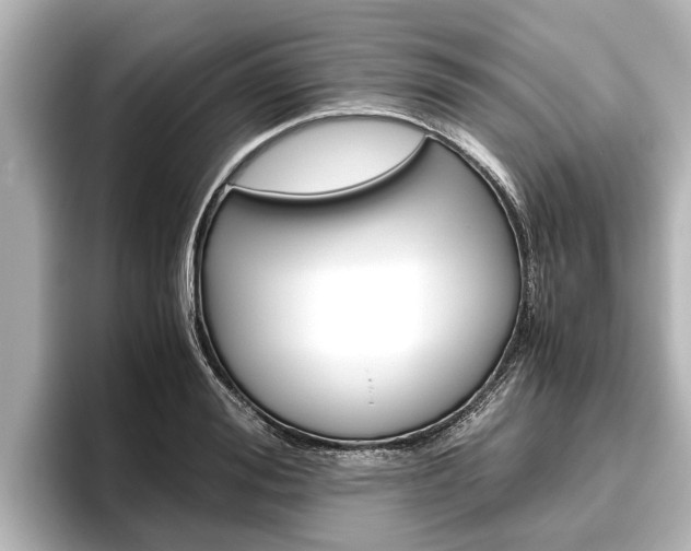 X0000096460988200801241114