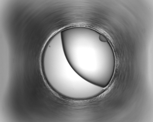 X0000096460989200801241114