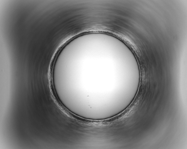 X0000096460990200801241114