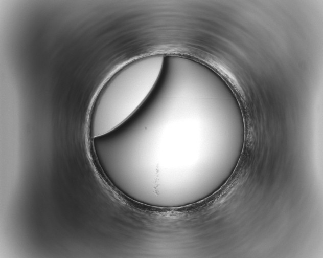 X0000096460992200801241114