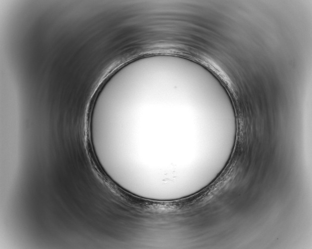 X0000096460994200801241114