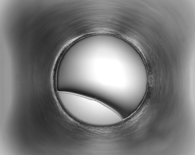 X0000096460995200801241114