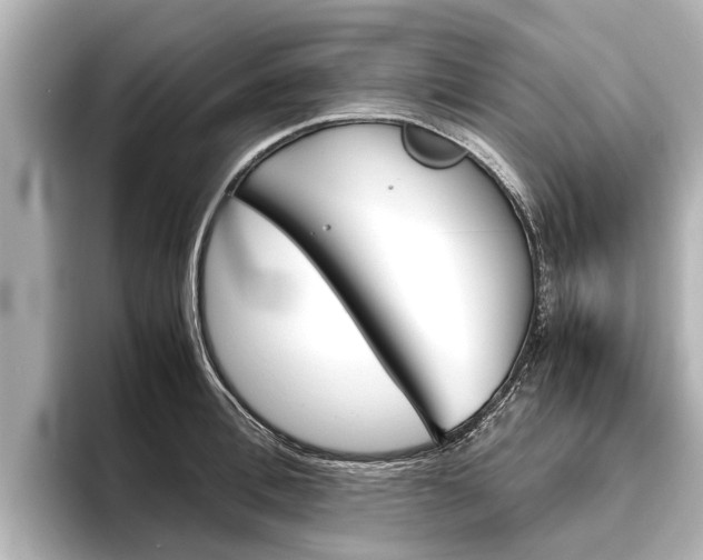 X0000096460996200801241114