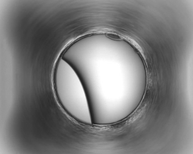 X0000096460997200801241114