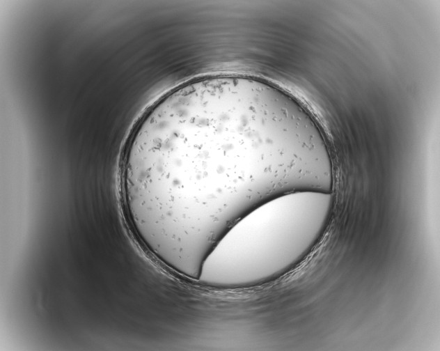 X0000096460998200801241114