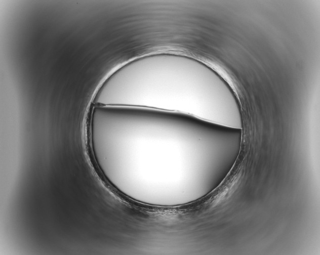 X0000096460999200801241114