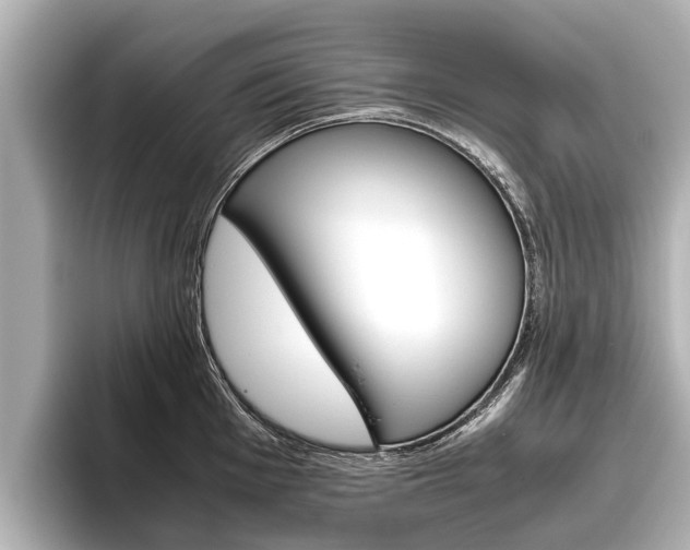 X0000096461001200801241114