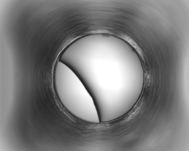X0000096461002200801241114