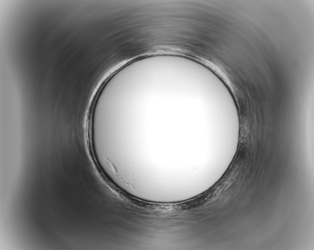 X0000096461003200801241114