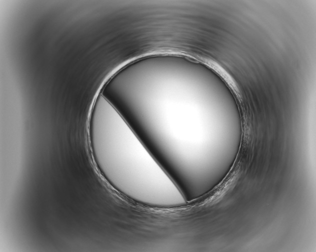 X0000096461004200801241114