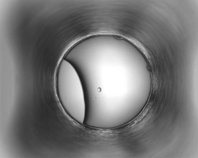 X0000096461006200801241114