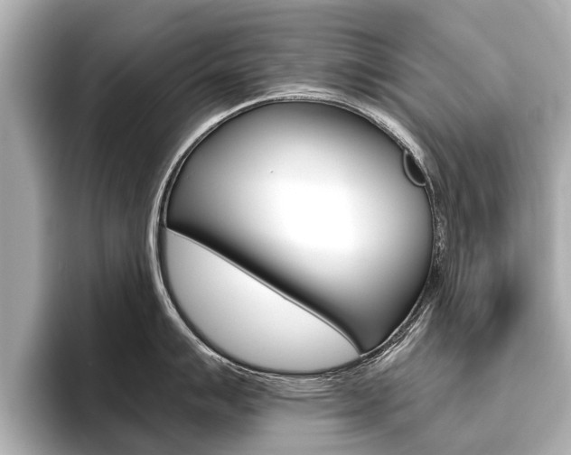 X0000096461007200801241114