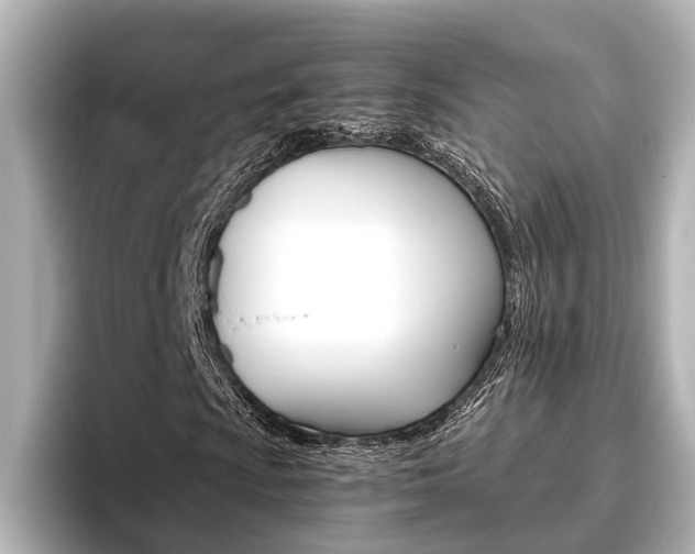 X0000096461009200801241113