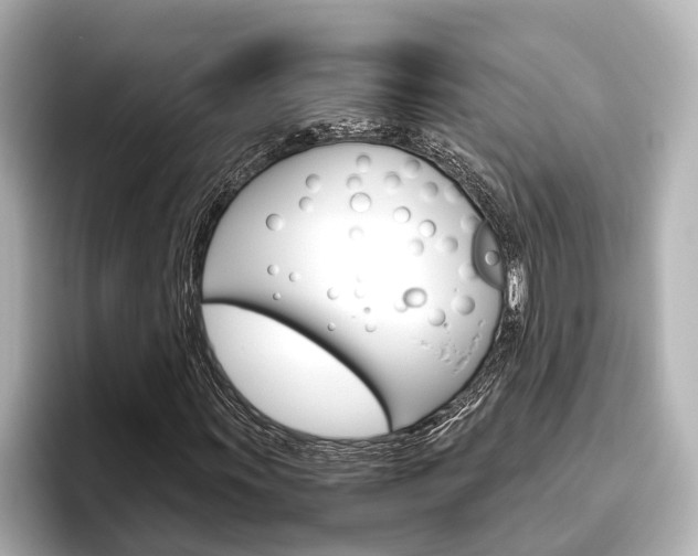 X0000096461011200801241113