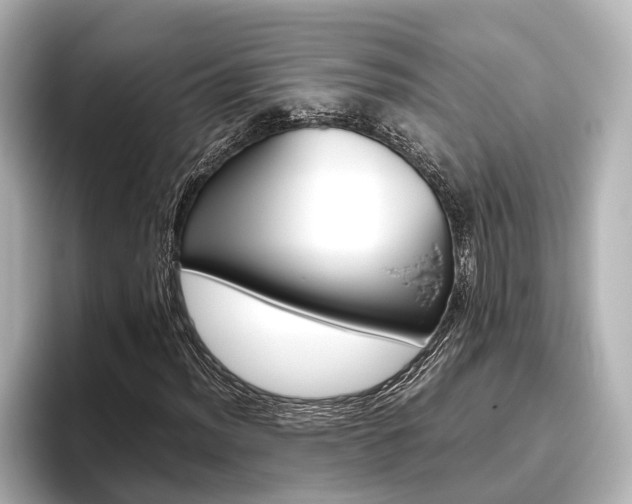 X0000096461012200801241113