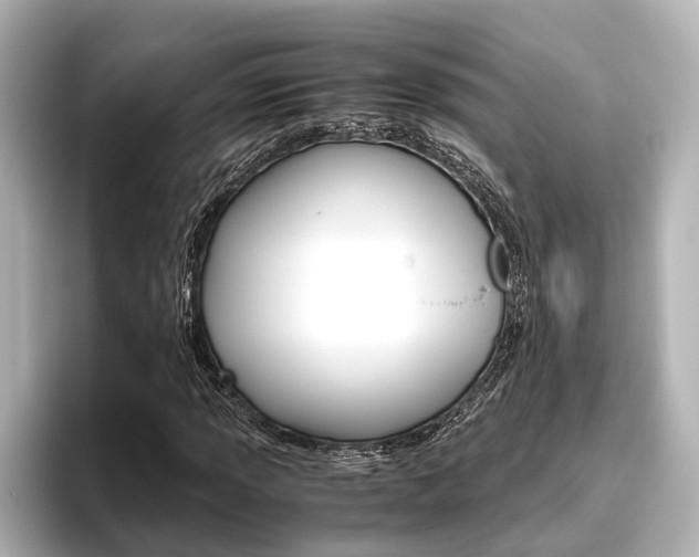 X0000096461013200801241114