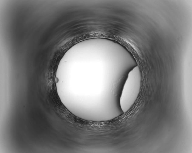 X0000096461015200801241114