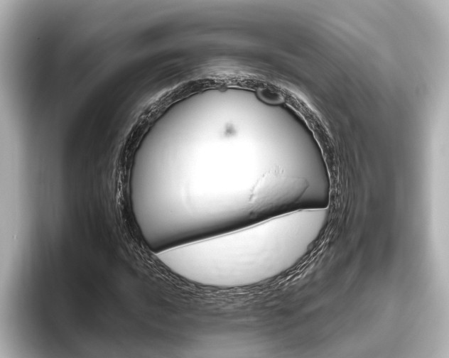 X0000096461016200801241114