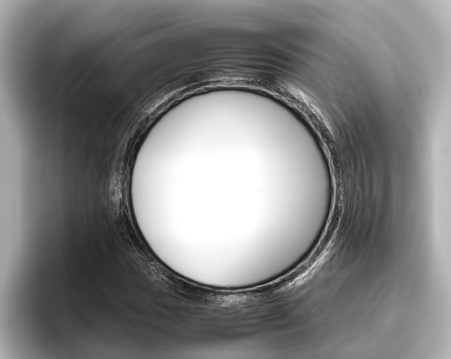 X0000096461017200801241114