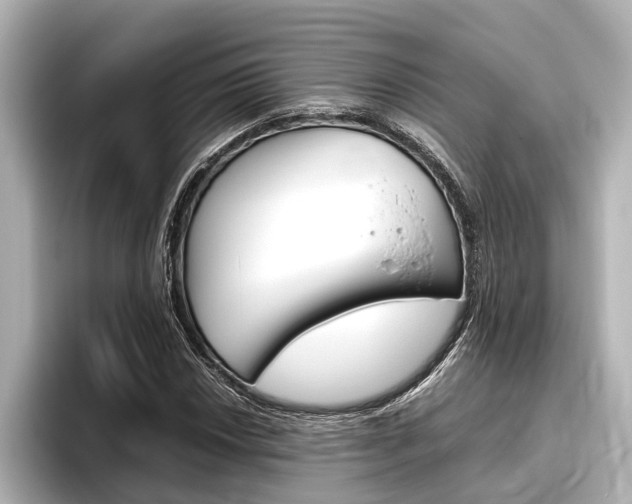 X0000096461018200801241114
