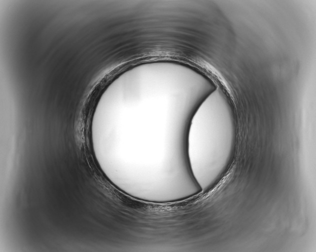 X0000096461019200801241114