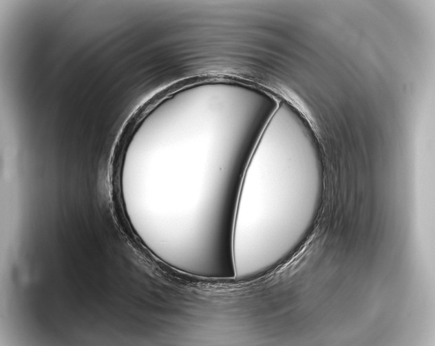 X0000096461020200801241114
