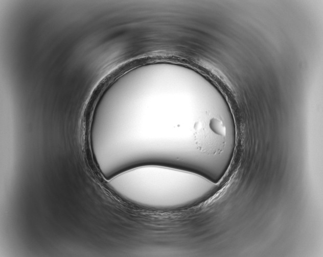X0000096461021200801241114