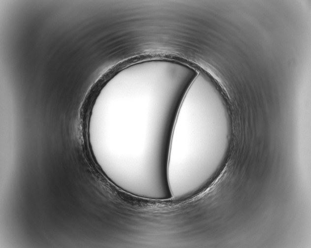 X0000096461022200801241114