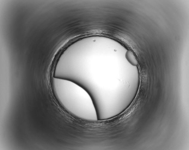 X0000096461023200801241114