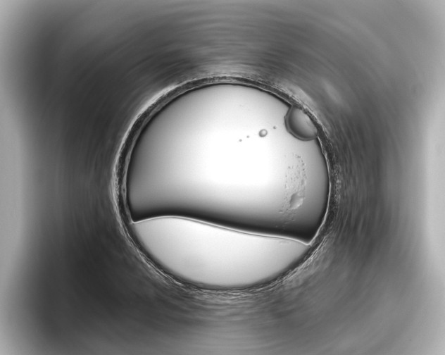 X0000096461024200801241114
