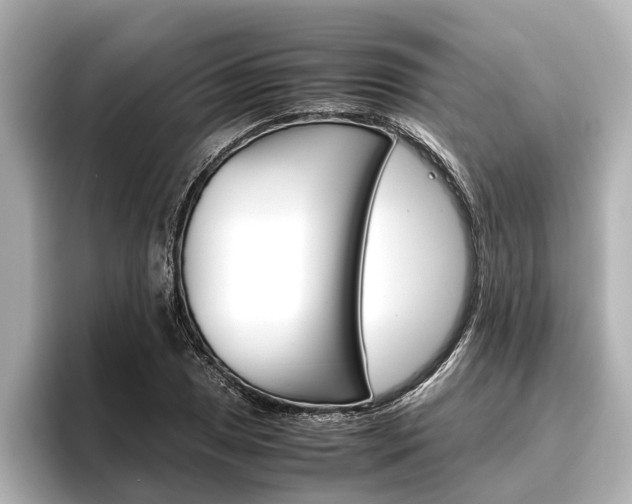 X0000096461025200801241114