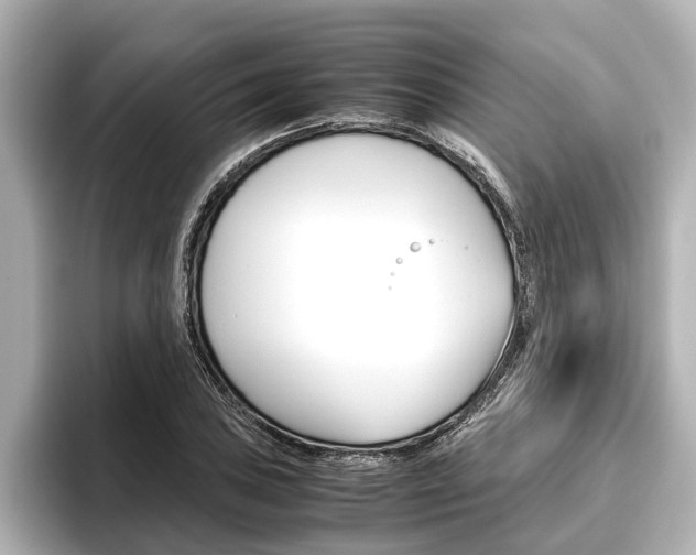 X0000096461027200801241114