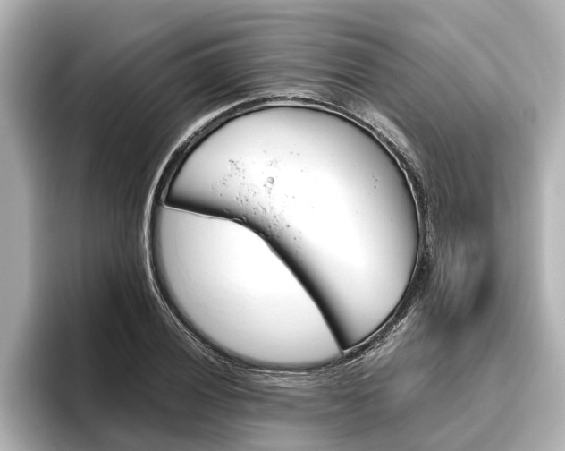 X0000096461028200801241114