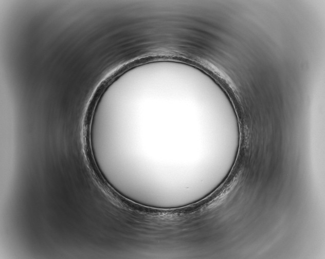 X0000096461029200801241114